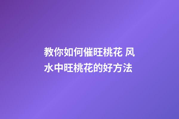 教你如何催旺桃花 风水中旺桃花的好方法